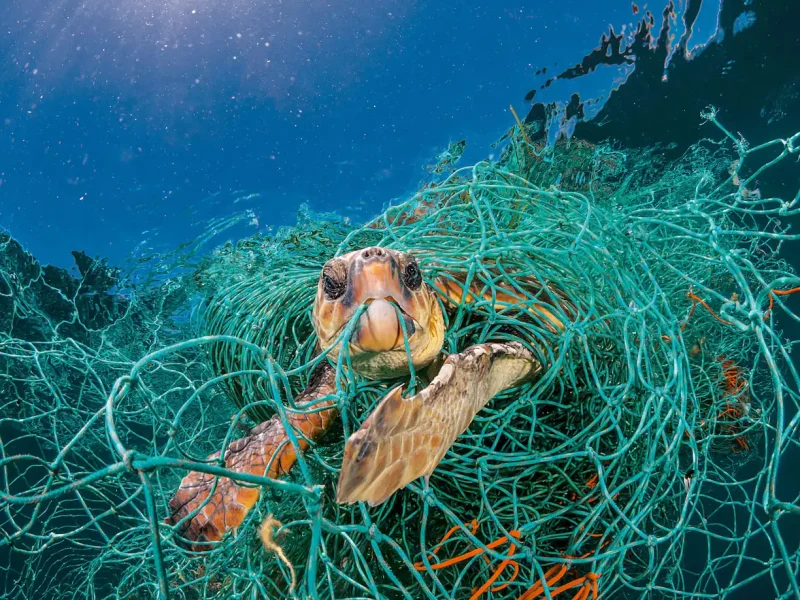 sustainable-fabric